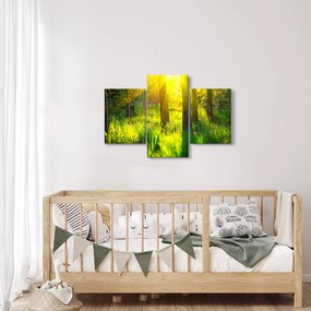Obraz - Jarné prebúdzanie lesa (90x60 cm)