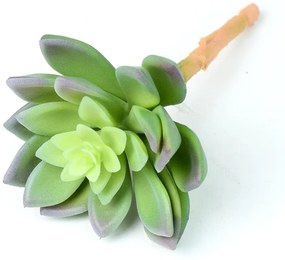 UMELÁ ZELEŇ SUCULENT ECHEVERIA 14X9CM