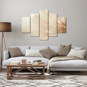 Obraz - Detaily kvetu (150x105 cm)