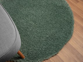 My Flair, AKCIA: 150x150 (průměr) kruh cm Kusový koberec My Shaggy hellgrün kruh, zelená, chodba / predsieň