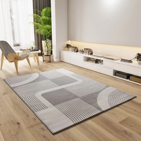 Koberec vo svetlosivej a slonovinovej farbe 200x290 cm Flora – Universal