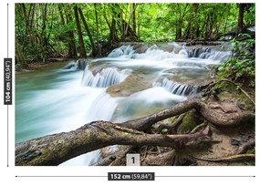 Fototapeta Vliesová Vodopád v lese 416x254 cm