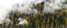 Obraz lesa v mrakoch (120x50 cm)