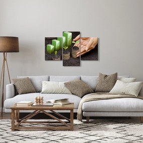 Obraz - Rast (90x60 cm)