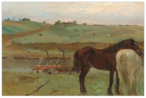Obraz - Edgar Degas, Horses in a Meadow, reprodukcia (90x60 cm)