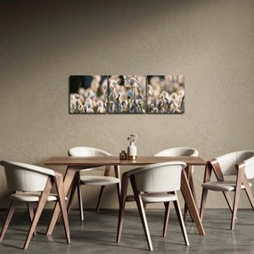 Obraz - Biely páperník (s hodinami) (90x30 cm)