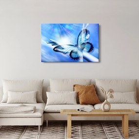 Obraz - Motýľ, symbol nádeje (90x60 cm)