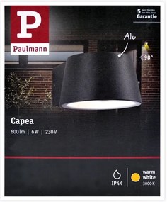 Paulmann 94452 - LED/6W IP44 Vonkajšie nástenné svietidlo CAPEA 230V