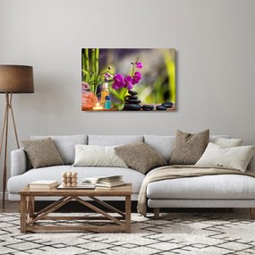 Obraz - spa and stones (90x60 cm)