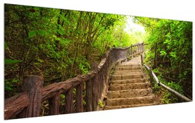 Letný obraz schodov v prírode (120x50 cm)