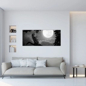 Obraz - Nočná sova, čiernobiela (120x50 cm)