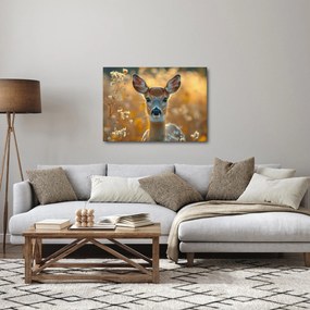Obraz - Laň (70x50 cm)