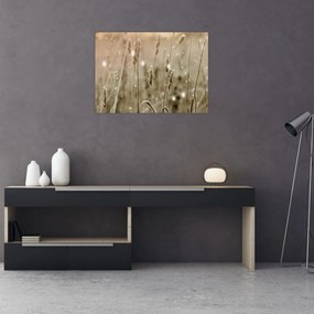 Sklenený obraz - Harmonická lúka (70x50 cm)