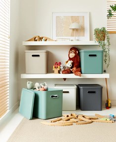 Rotho Úložný box, rovný s víkom, 27l, matná zelená ALBU LIGHT, 37x29x30