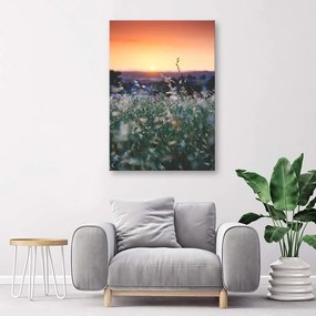 Gario Obraz na plátne Lúka a západ slnka Rozmery: 40 x 60 cm