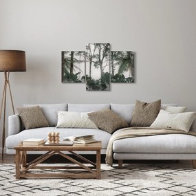 Obraz - Jungle v rannej hmle (90x60 cm)
