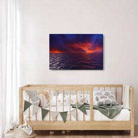 Obraz mora s vtákmi (90x60 cm)