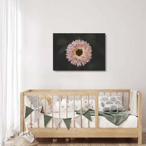 Sklenený obraz oranžovej kvetiny (70x50 cm)