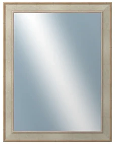 DANTIK - Zrkadlo v rámu, rozmer s rámom 70x90 cm z lišty TOOTH strieborná (2779)