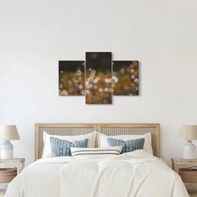 Obraz - Lúka s cottongrass N⁰2 (90x60 cm)