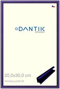 DANTIK rám na obraz 20x30 | ALU modrá Azur matná (Sklo Čiré)