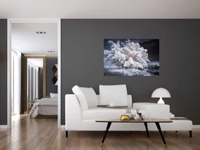 Obraz - Snehobiely strom (90x60 cm)