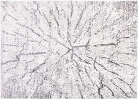 TA Koberec FM28A GRAY SKY EZM Rozmer: 80x150 cm