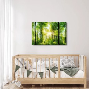 Obraz - Svitanie v lese (90x60 cm)