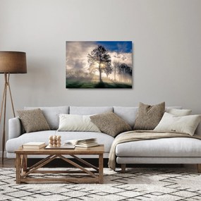 Sklenený obraz stromu v hmle (70x50 cm)