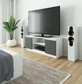 Stolík pod TV RTV 140 2D 1P biely / sivý