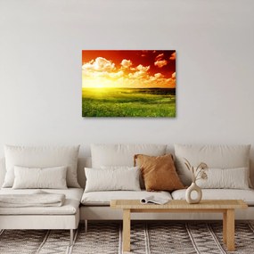 Obraz letnej lúky (70x50 cm)