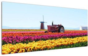 Obraz tulipánové farmy (120x50 cm)