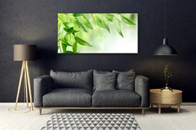 Obraz plexi Zelené listy príroda 120x60 cm