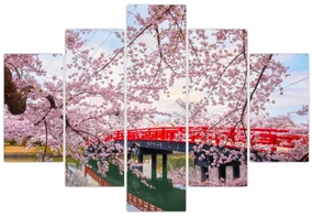 Obraz - Hirosaki, Japonsko (150x105 cm)