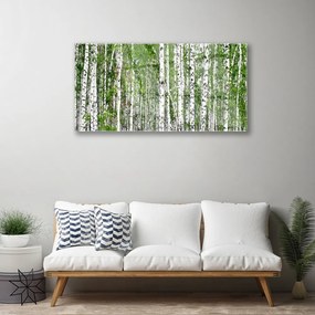 Obraz na skle Breza les stromy príroda 100x50 cm