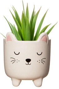 Kamenný kvetináč ø 7,5 cm Cat – Sass &amp; Belle