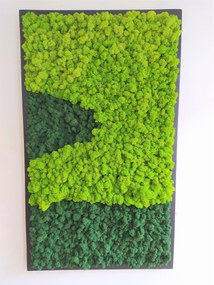 Machový obraz v čiernom ráme 135cm x 65cm