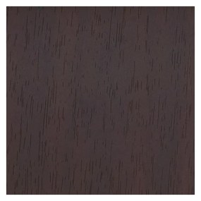 Tmavohnedý plastový nástenný vešiak Sticks – Umbra