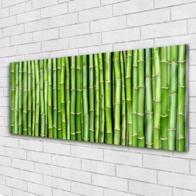 Obraz na akrylátovom skle Bambus kvet rastlina 125x50 cm