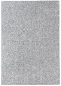 Koberce Breno Kusový koberec DOLCE VITA 01/SSS, sivá,80 x 150 cm
