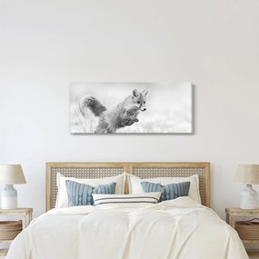 Obraz - Skákajúca líška, čiernobiela (120x50 cm)