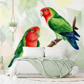 Artgeist Fototapeta - Lovebirds Veľkosť: 150x105, Verzia: Standard