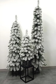 Zasnežený vianočný stromček- Smrek Amélia v kvetináči 80cm