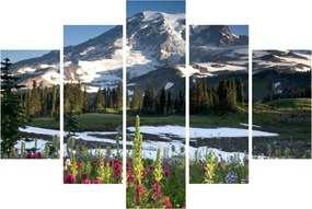 Obraz - Mount Rainier (150x105 cm)
