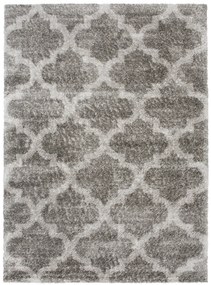 Shaggy koberec Versa Veľkosť: 160x230cm