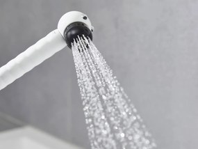 Hansgrohe Jocolino, detská sprcha Jocolino zebra, 2jet, biela matná, HAN-28787640