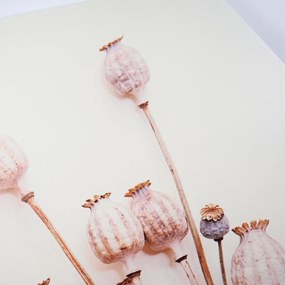 Nástenná dekorácia POPPY WOOD Ø 58 cm