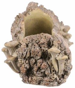 Betonový obal - truhlík, drevo s hubami, 49 x 21 x15 cm