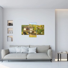 Obraz - Chalúpky v lete (90x60 cm)