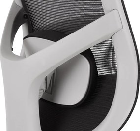 Kancelárska ergonomická stolička Neoseat ALLY WHITE — čierna / biela, nosnosť 150 kg